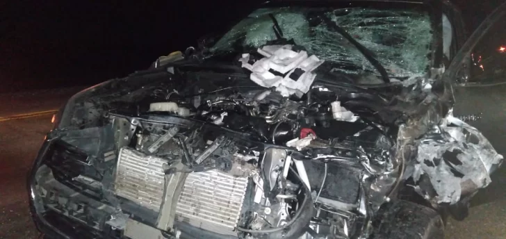 Impactante: una camioneta terminó destruida después de chocar a un caballo y volcar Impactante: una camioneta terminó destruida después de chocar a un caballo y volcar