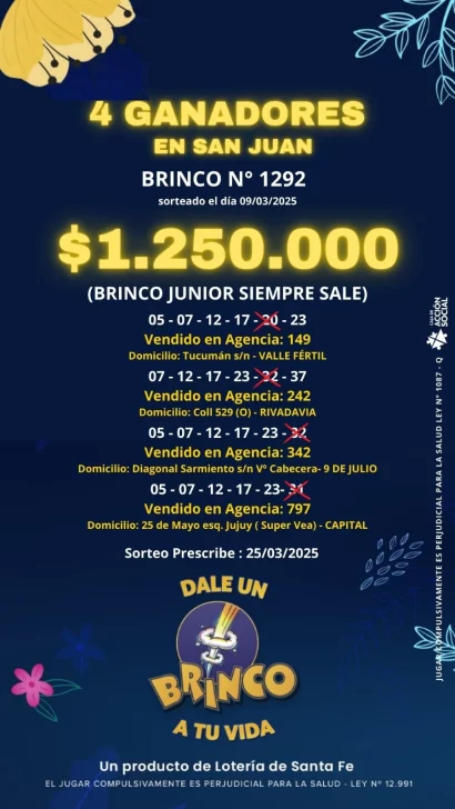 brinco-10-410x728