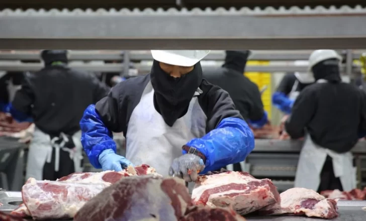 Un matrimonio correntino denunció haber sido esclavizado en un frigorífico en Polonia Un matrimonio correntino denunció haber sido esclavizado en un frigorífico en Polonia