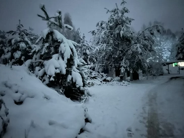 invierno-ucrania-728x546