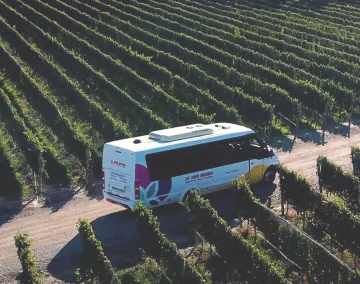 Llega la opción “low cost” para visitar bodegas en Luján de Cuyo Llega la opción “low cost” para visitar bodegas en Luján de Cuyo