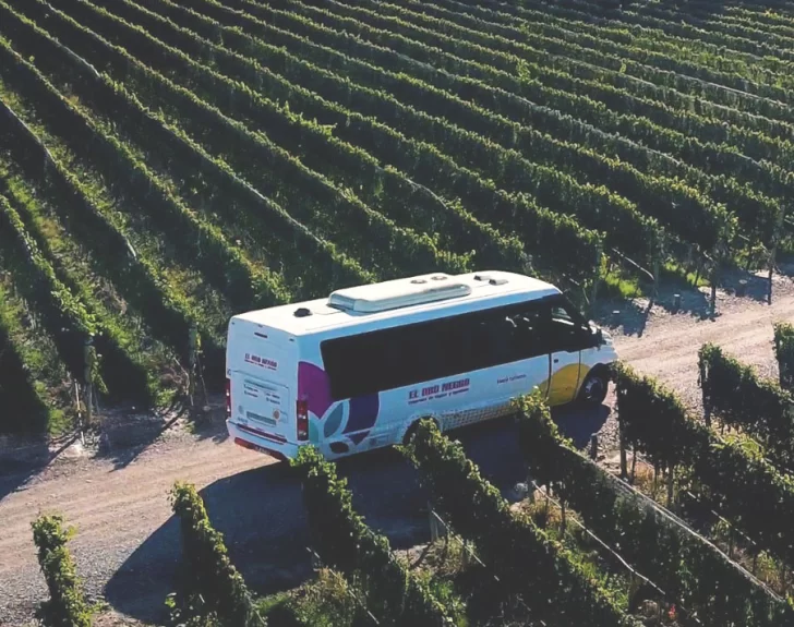 Llega la opción “low cost” para visitar bodegas en Luján de Cuyo Llega la opción “low cost” para visitar bodegas en Luján de Cuyo
