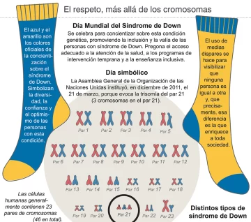 Síndrome de Down: avance clave para el tratamiento Síndrome de Down: avance clave para el tratamiento