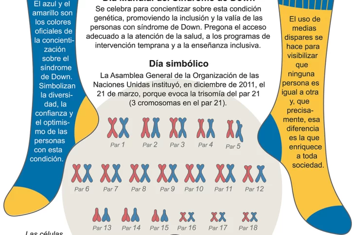 Síndrome de Down: avance clave para el tratamiento