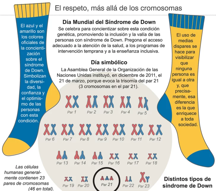 Síndrome de Down: avance clave para el tratamiento Síndrome de Down: avance clave para el tratamiento