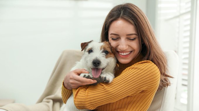 Las razones por las que tu perro te sigue a todos lados Las razones por las que tu perro te sigue a todos lados
