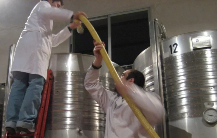 Gobierno aprobó más de $2.000 millones en créditos para apoyar la industria del mosto