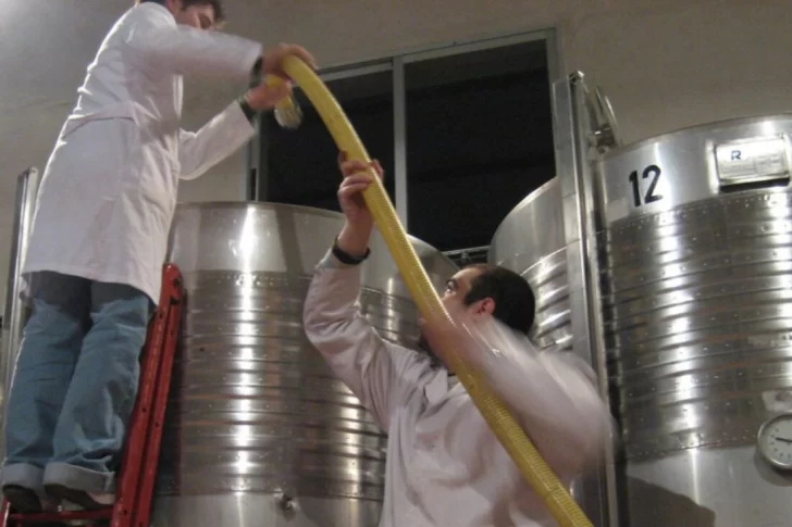 Gobierno aprobó más de $2.000 millones en créditos para apoyar la industria del mosto