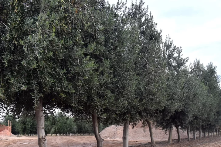 En San Juan, 13 sectores y casi 32 millones de dólares a la espera del acuerdo con EEUU