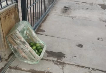 DCC200425-004F03-728x506