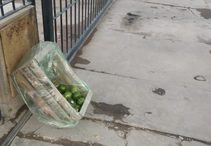 DCC200425-004F03-728x506