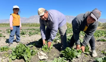 DCC200425-004F04-728x425