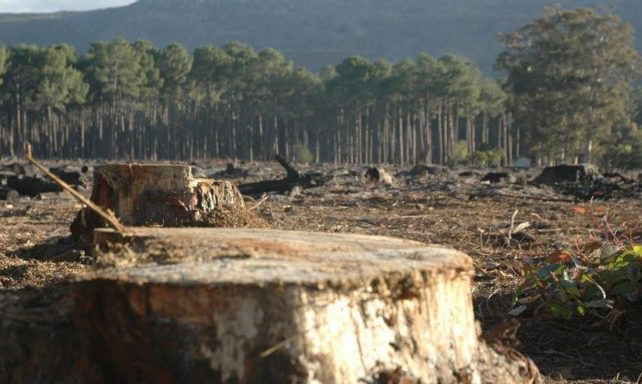 Tomar nuevos rumbos en economía y política