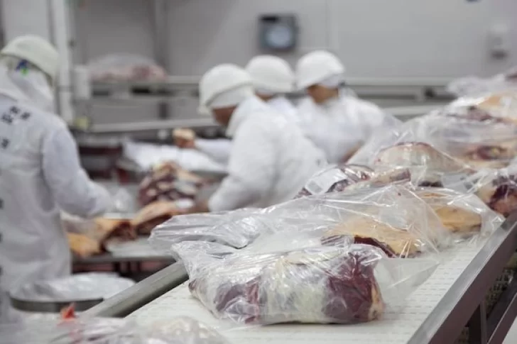 Las exportaciones de carne vacuna tuvieron una fuerte caída en el primer trimestre del año