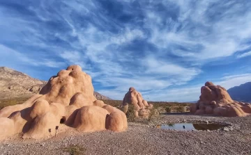 Arte Bestial: un espacio impactante