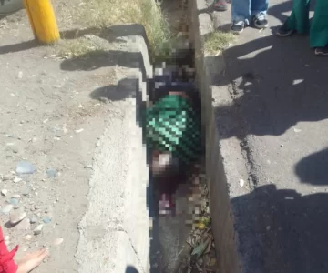 Un anciano iba en bicicleta, lo atropelló un colectivo, terminó en la acequia y está grave Un anciano iba en bicicleta, lo atropelló un colectivo, terminó en la acequia y está grave