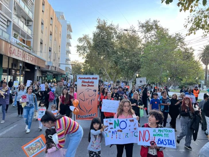 En el “Día del Animal”, proteccionistas sanjuaninos marcharon contra el maltrato animal En el “Día del Animal”, proteccionistas sanjuaninos marcharon contra el maltrato animal