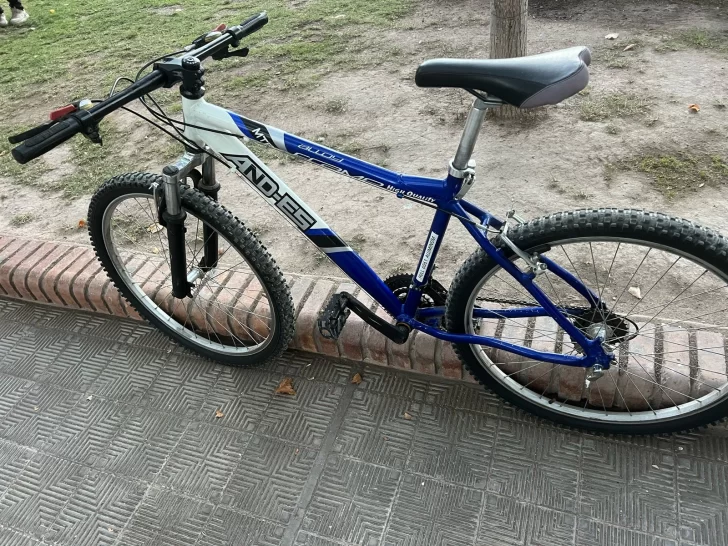 Cayó un hombre con una bicicleta robada en la Plaza 25 de Mayo Cayó un hombre con una bicicleta robada en la Plaza 25 de Mayo