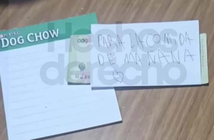 https___thumbs.vodgc_.net_1-14-X7-728x477