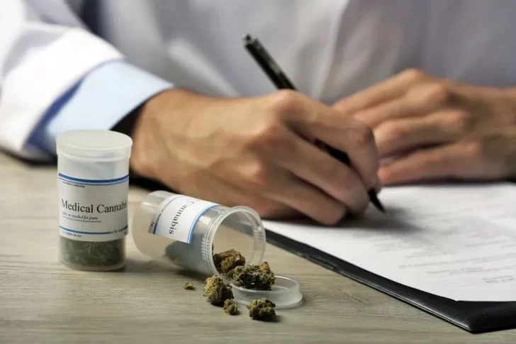 Lanzaron una nueva diplomatura sobre usos medicinales del cannabis en la UNSJ