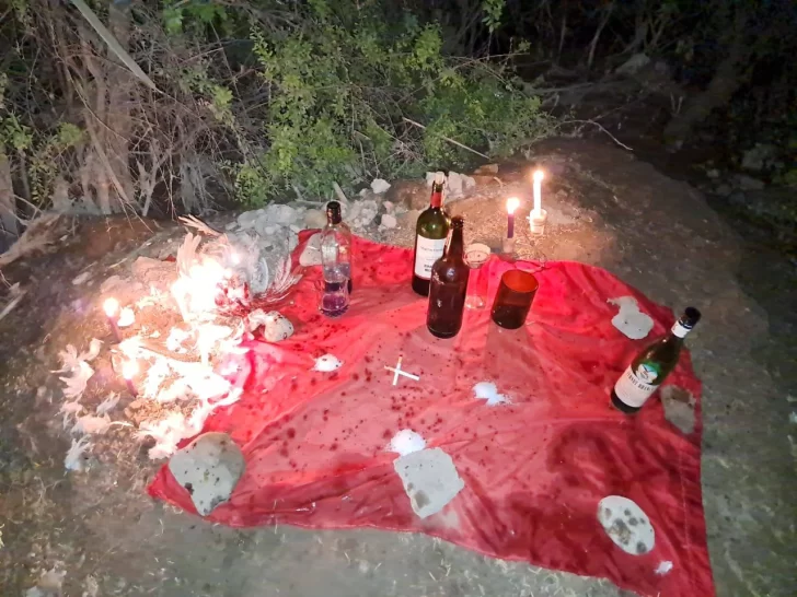 Encuentran espeluznante ritual con animales en el Villicum