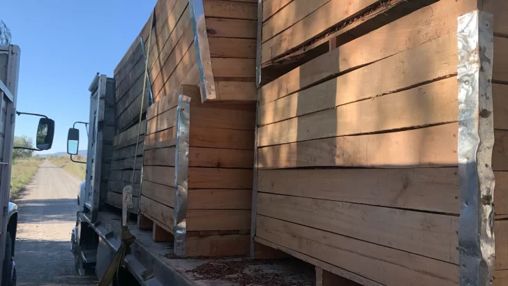 robo-pasas-17-1-728x410