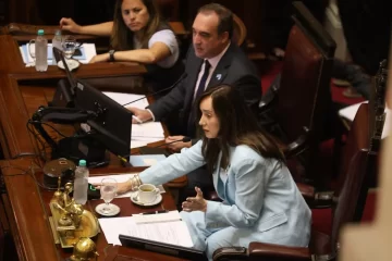 El Senado postergó el tratamiento del proyecto Ficha Limpia El Senado postergó el tratamiento del proyecto Ficha Limpia