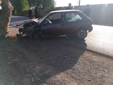 Estrellan su auto contra un enorme árbol: una mamá y su hija de 3 años, heridas