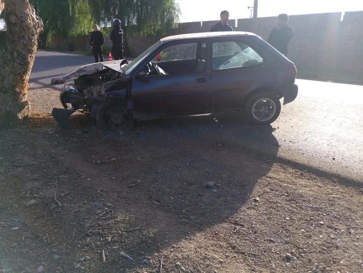 Estrellan su auto contra un enorme árbol: una mamá y su hija de 3 años, heridas
