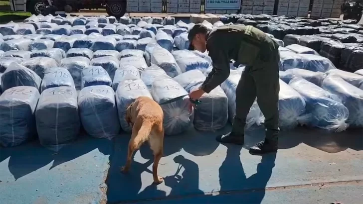 Córdoba: hallaron 7 mil kilos de hojas de coca en un camión