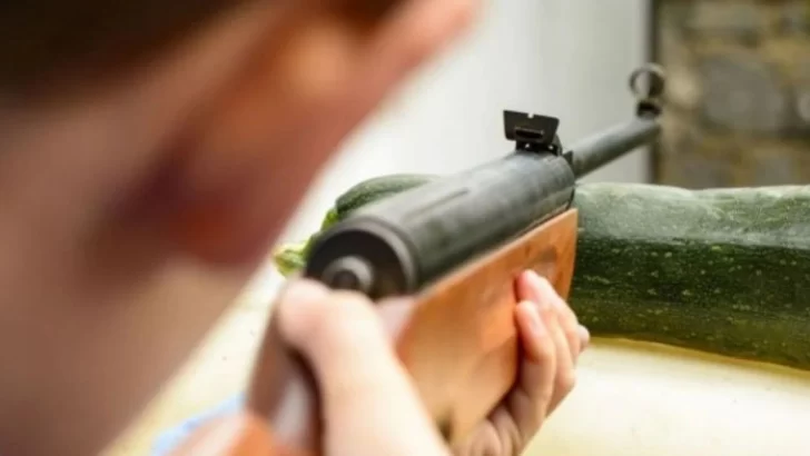 Amenazó con una escopeta a unos albañiles por “hacer ruidos” y lo condenaron sin prisión Amenazó con una escopeta a unos albañiles por “hacer ruidos” y lo condenaron sin prisión