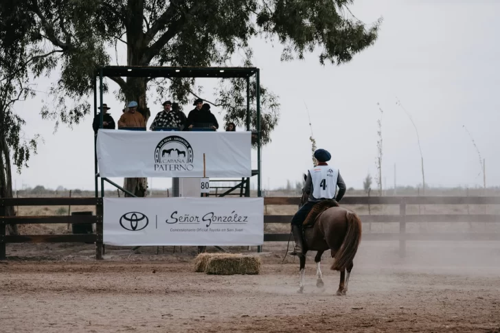 III Expo Paterno, el gran evento ecuestre del país en San Juan III Expo Paterno, el gran evento ecuestre del país en San Juan