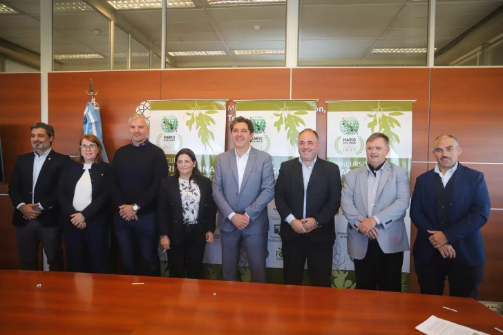 San Juan será sede del certamen que definirá los mejores aceites del hemisferio sur San Juan será sede del certamen que definirá los mejores aceites del hemisferio sur