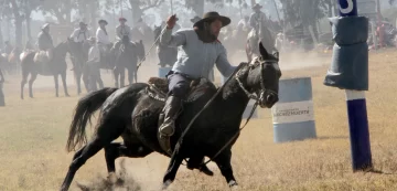 DCC020525-003F07-728x349