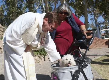 DCC040525-003F08-728x535