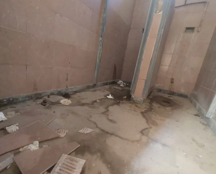 DCC060525-003F08-728x586