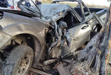 Un joven chocó contra un árbol y murió en Mendoza