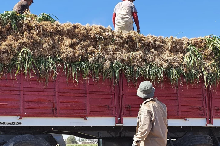 Los ajeros sanjuaninos celebran una medida de Nación y dicen que favorecerá el mercardo