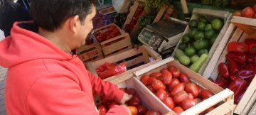 El precio local de las verduras de hoja bajó hasta 40% en las últimas semanas El precio local de las verduras de hoja bajó hasta 40% en las últimas semanas