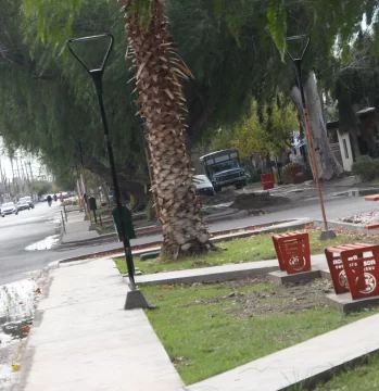 DCC290525-003F07-706x728