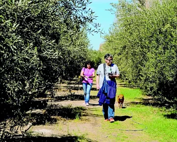 El oro impulsó las exportaciones sanjuaninas en el primer trimestre del 2025