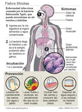 Alerta sanitaria por un brote de fiebre tifoidea en el AMBA