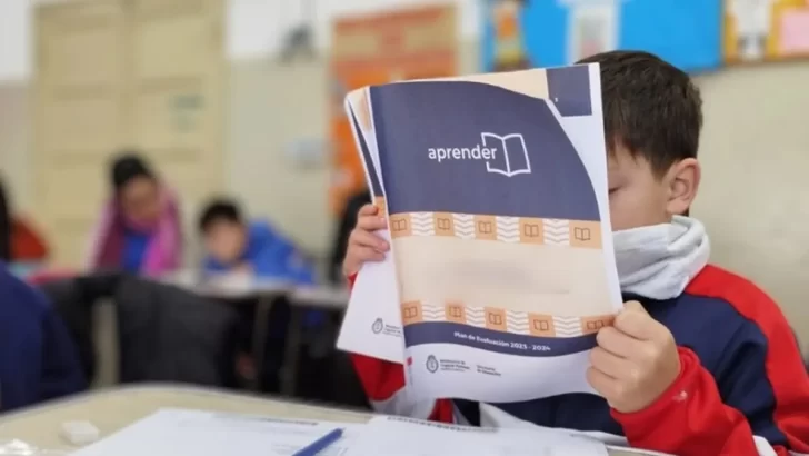 Pruebas Aprender: solo el 45% de alumnos de tercer grado logran comprender textos