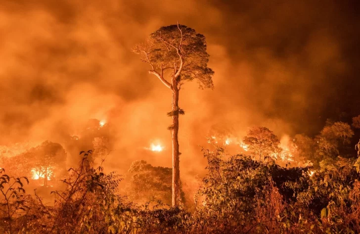 Es imperiosa la restauración ecológica en Sudamérica