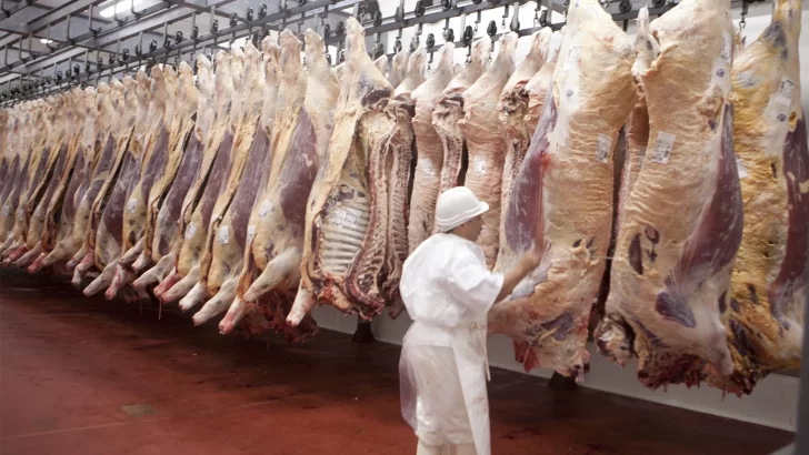 Crisis en la industria de la carne por caída en la producción, consumo y exportaciones