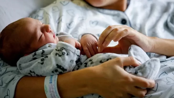 La tasa de natalidad cayó 40% en el país y los hogares sin hijos ya son mayoría