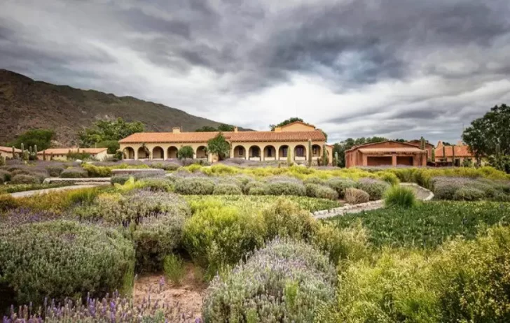 Bodega Colomé reconocida como “Mejor propuesta de Enoturismo”