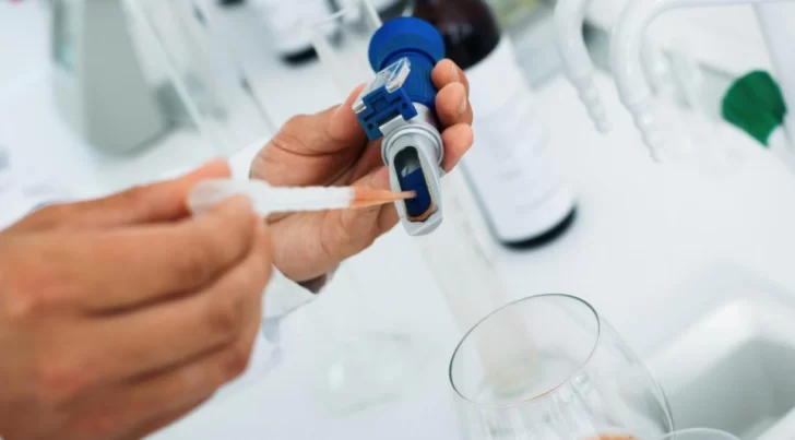 Se eliminaron derechos de exportación a productos industriales de la vitivinicultura Se eliminaron derechos de exportación a productos industriales de la vitivinicultura