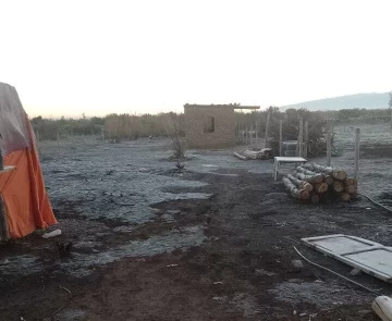 WhatsApp-Image-2025-05-28-at-10.