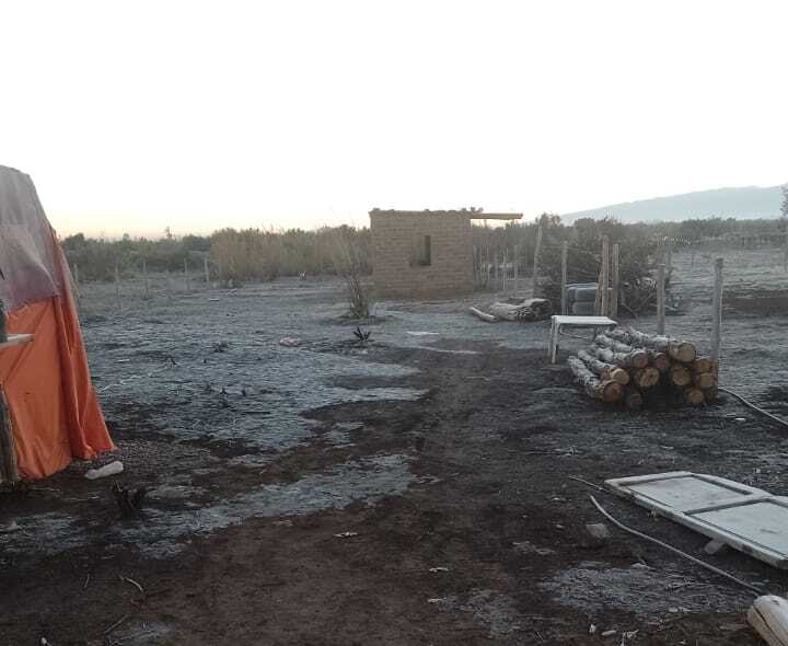 WhatsApp-Image-2025-05-28-at-10.